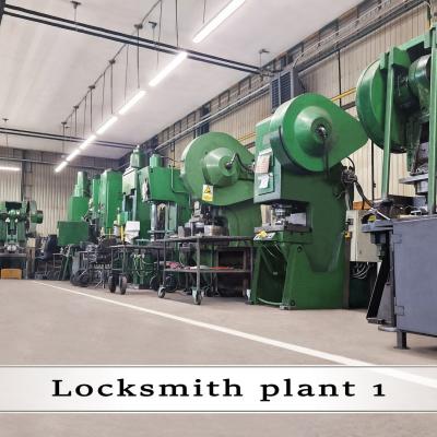 Locksmith Plant1